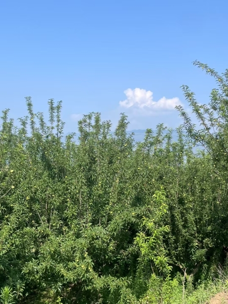 IMG_1885.jpeg