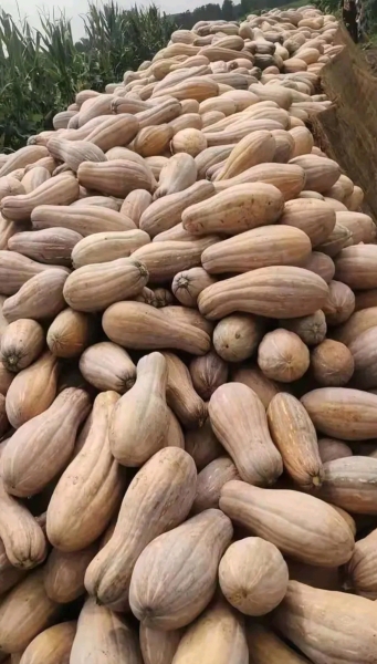 150.jpeg